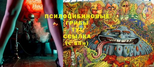 прущие крисы Кулебаки
